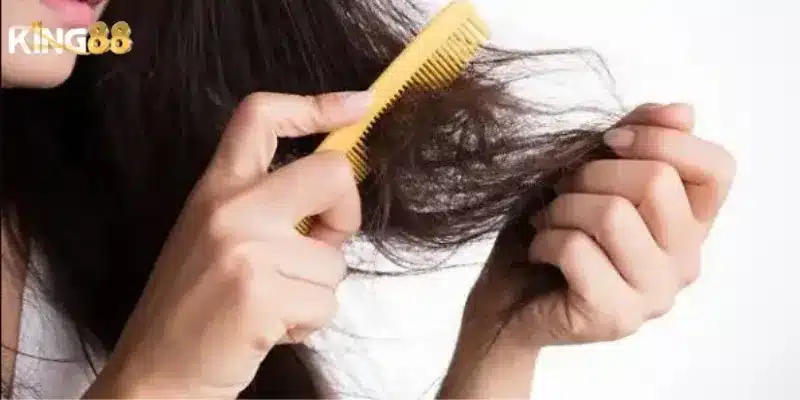 Mơ thấy rụng tóc – Giải mã giấc mơ và con số lô đề cực chuẩn 6 Các yếu tố tâm lý và thể chất dẫn đến nằm mơ rụng tóc