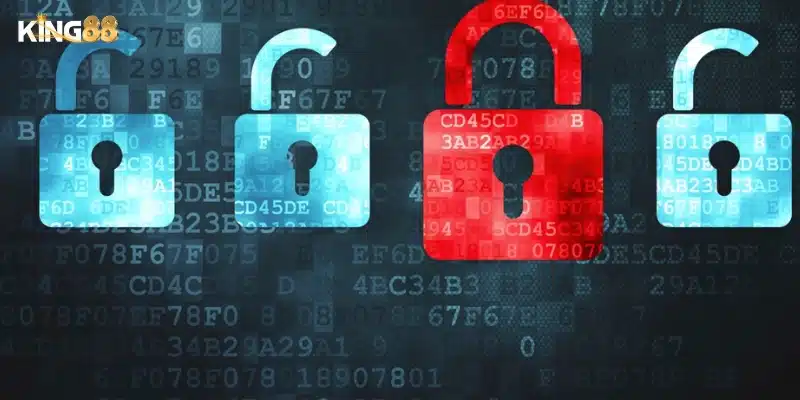 Các nội dung chính trong quyền riêng tư King88