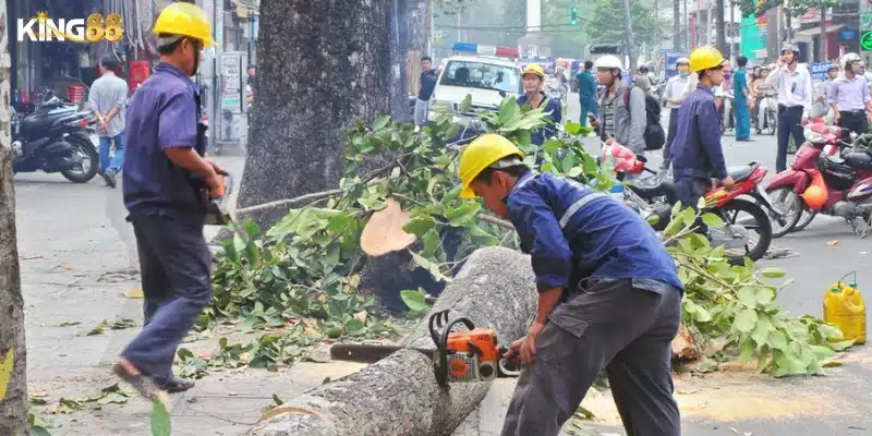 Tìm hiểu ý nghĩa biểu tượng của “cây” từ A đến Z