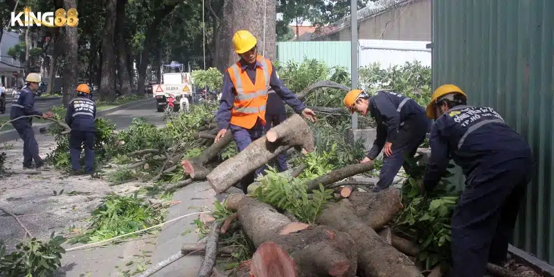 Luận giải chi tiết các tình huống thường gặp