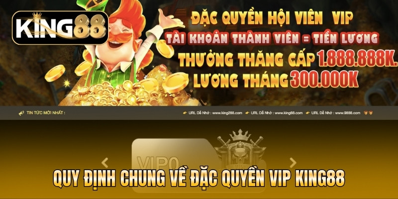 Quy định chung về đặc quyền VIP KING88